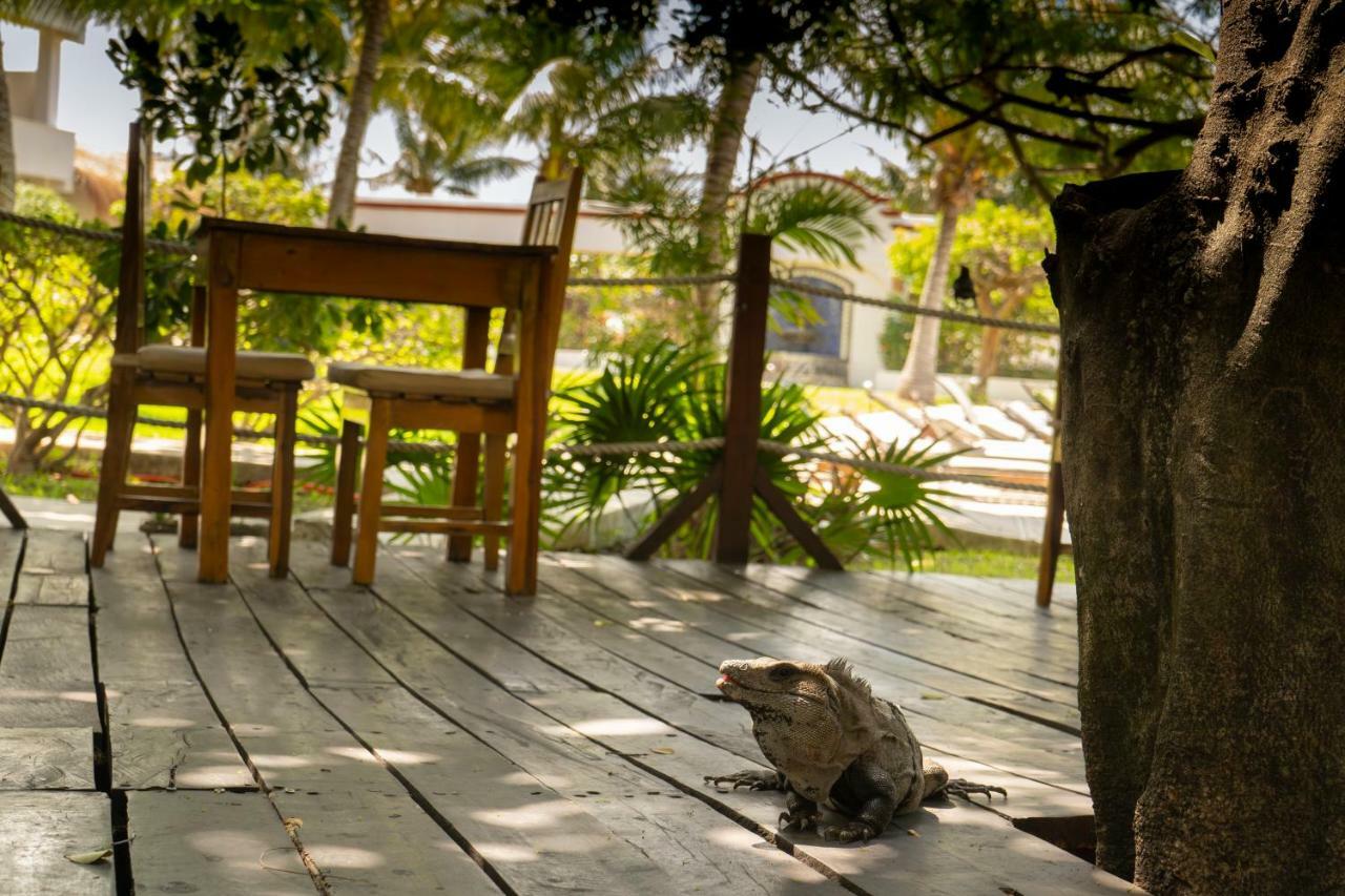 Marina Paraiso Isla Mujeres Hotel 外观 照片